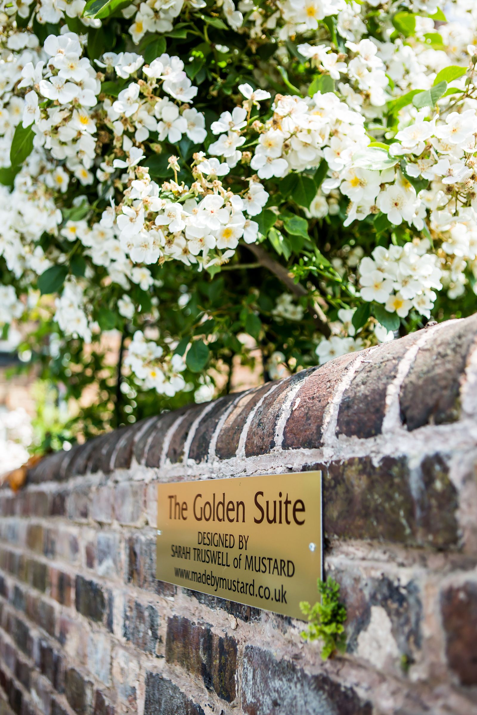 A brick wall with a sign indicating "The Golden Suite" and credits to Sarah Truswell of Mustard.