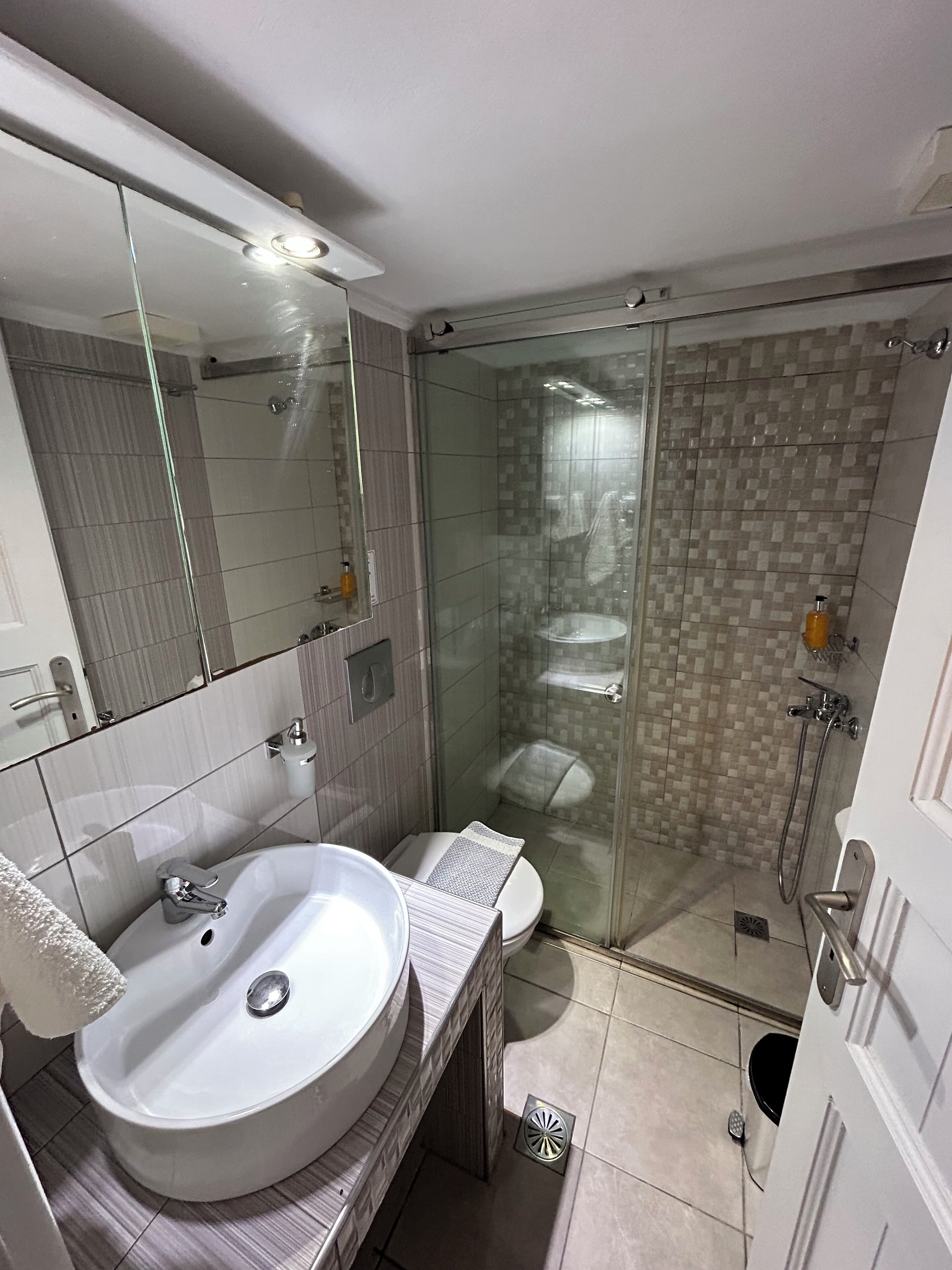 A modern bathroom with a large sink, toilet, and glass-enclosed shower.