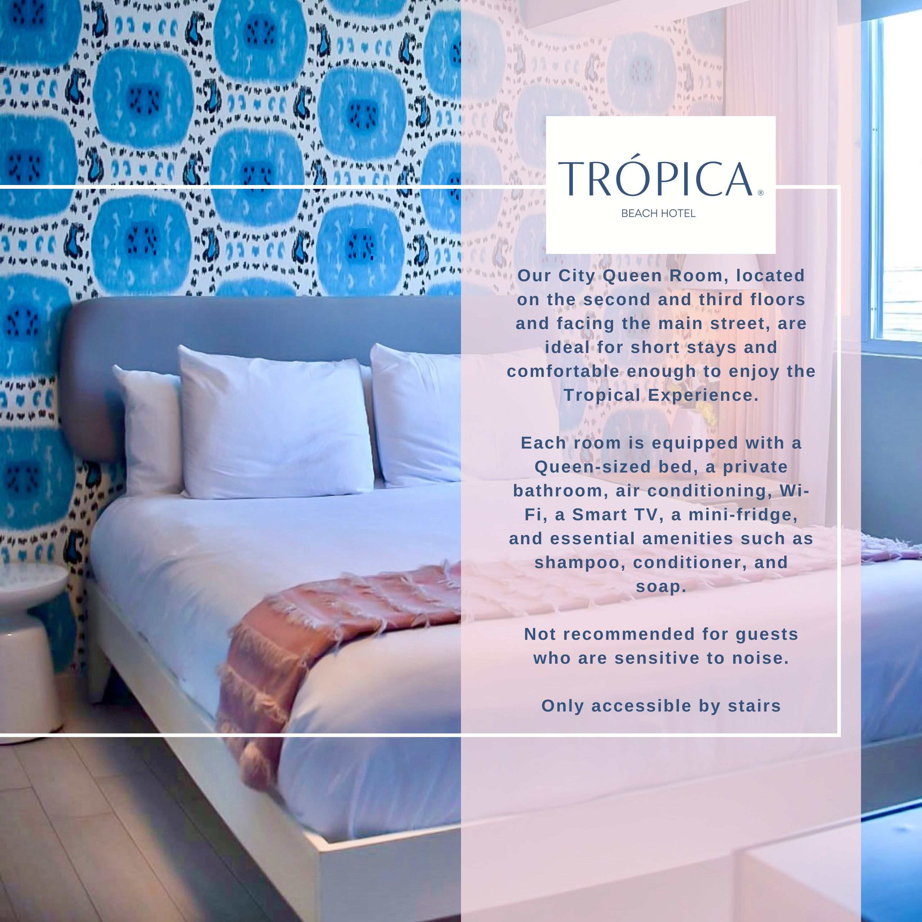 city room | 1 bedroom, premium bedding, pillow-top beds, individually decorated