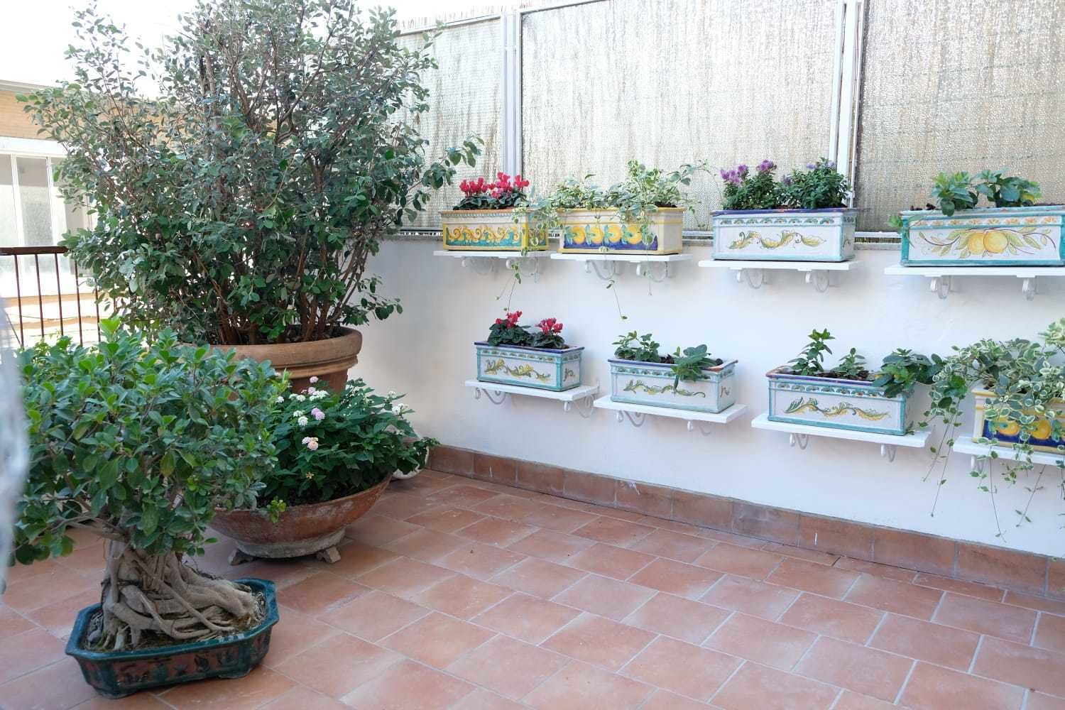 Una terraza con plantas en macetas y un árbol grande.