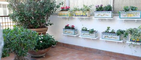 Una terraza con plantas en macetas y un árbol grande.