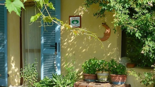 A rustic outdoor setting with a yellow wall, a blue shuttered door, and various potted plants and baskets. - Cascina Marie (Bricherasio)