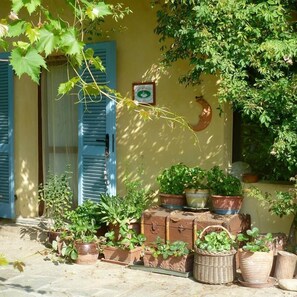 Un entorno rústico al aire libre con una pared amarilla, una puerta con contraventanas azules y diferentes macetas y cestas con plantas.