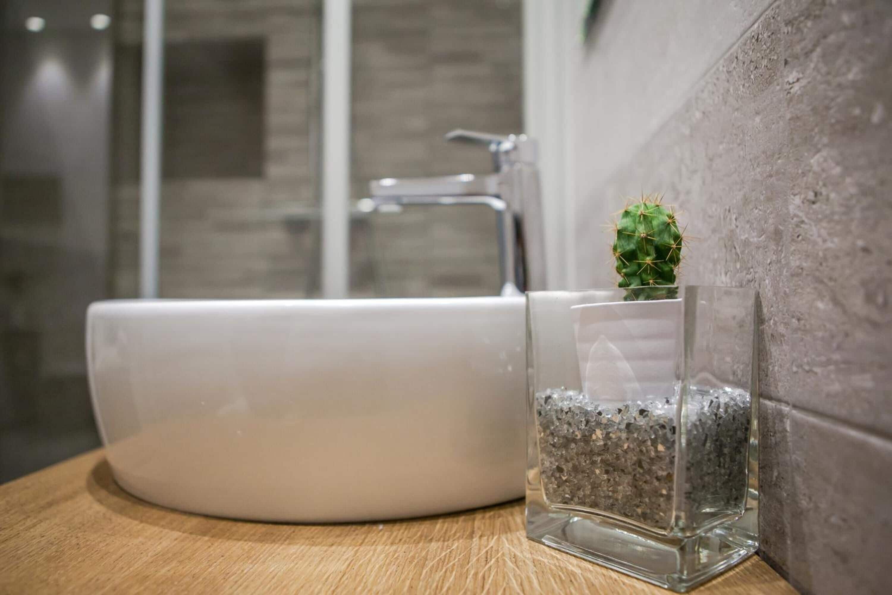 Un baño con un lavamanos blanco, un recipiente de vidrio con un cactus y una pared con textura.