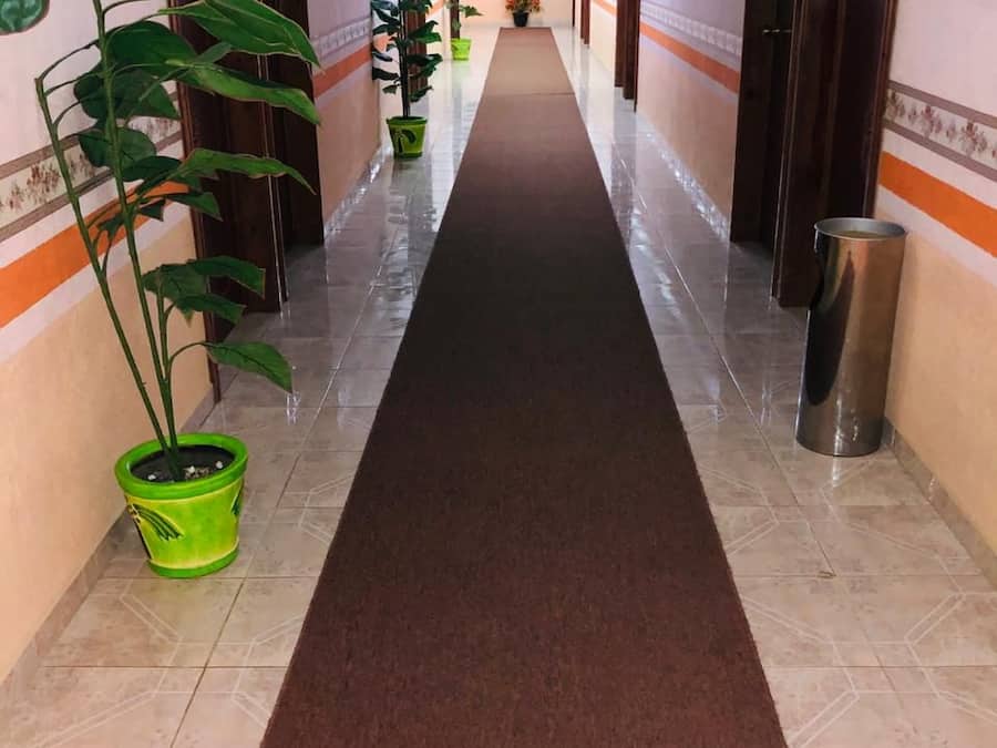 A hotel corridor with a red carpet, potted plants, and a trash bin.