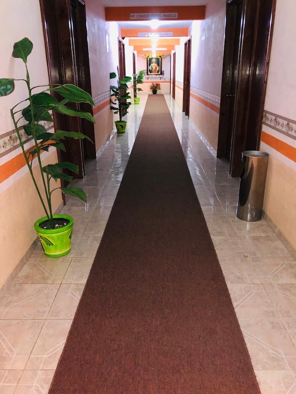 A hotel corridor with a red carpet, potted plants, and a trash bin.