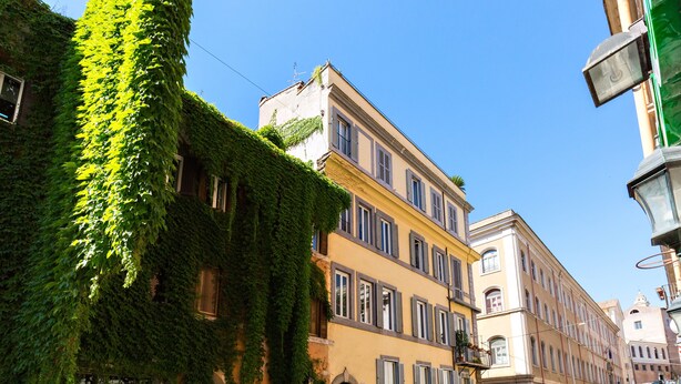 A street with buildings covered in ivy, a clear blue sky, and parked cars. - Rome as you feel - Panisperna Apartment (Rome)