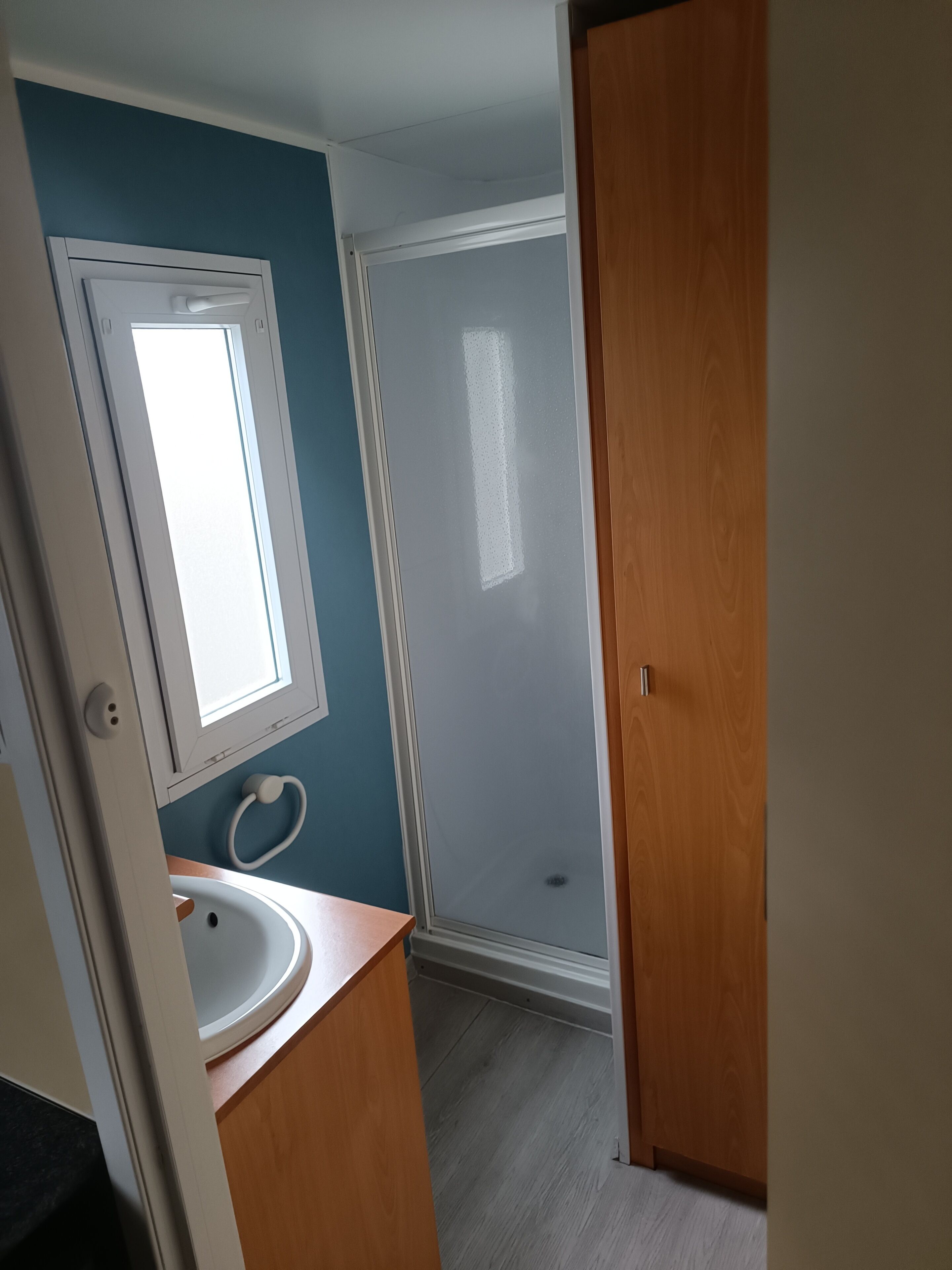 A bathroom with a sink, mirror, and shower.