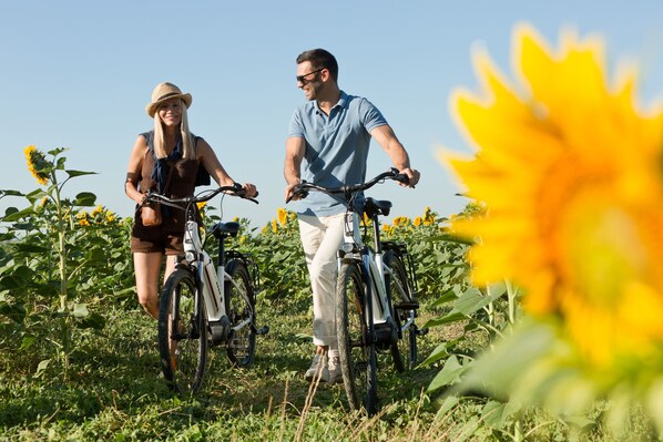 Two people on bicycles in a field with sunflowers. - Hotel College des Doctrinaires, BW Premier Collection (Lectoure)