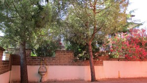 A tree-lined pathway with a brick wall and a hose on the ground. - B&B Villa Francesca (Spoltore)
