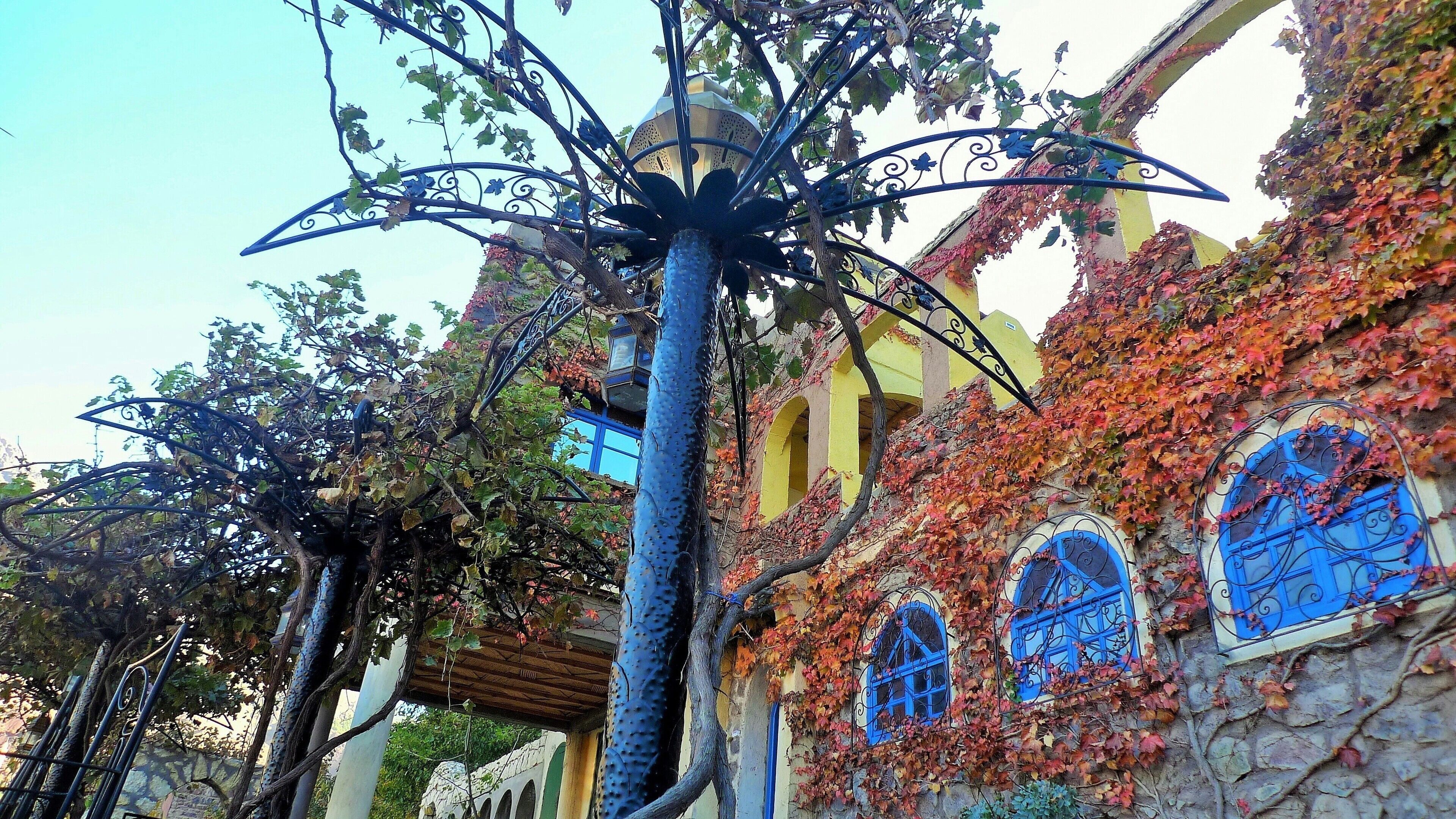 A building with ivy-covered walls, blue windows, and a metal structure resembling a tree.