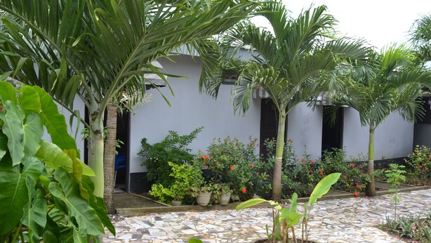 Un cortile con pavimento piastrellato, circondato da varie piante e un edificio con diverse porte.