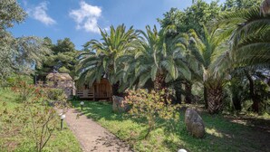 A pathway leading to a wooden structure surrounded by palm trees and greenery. - Casa Vacanze Dolce Vita (Campiglia Marittima)