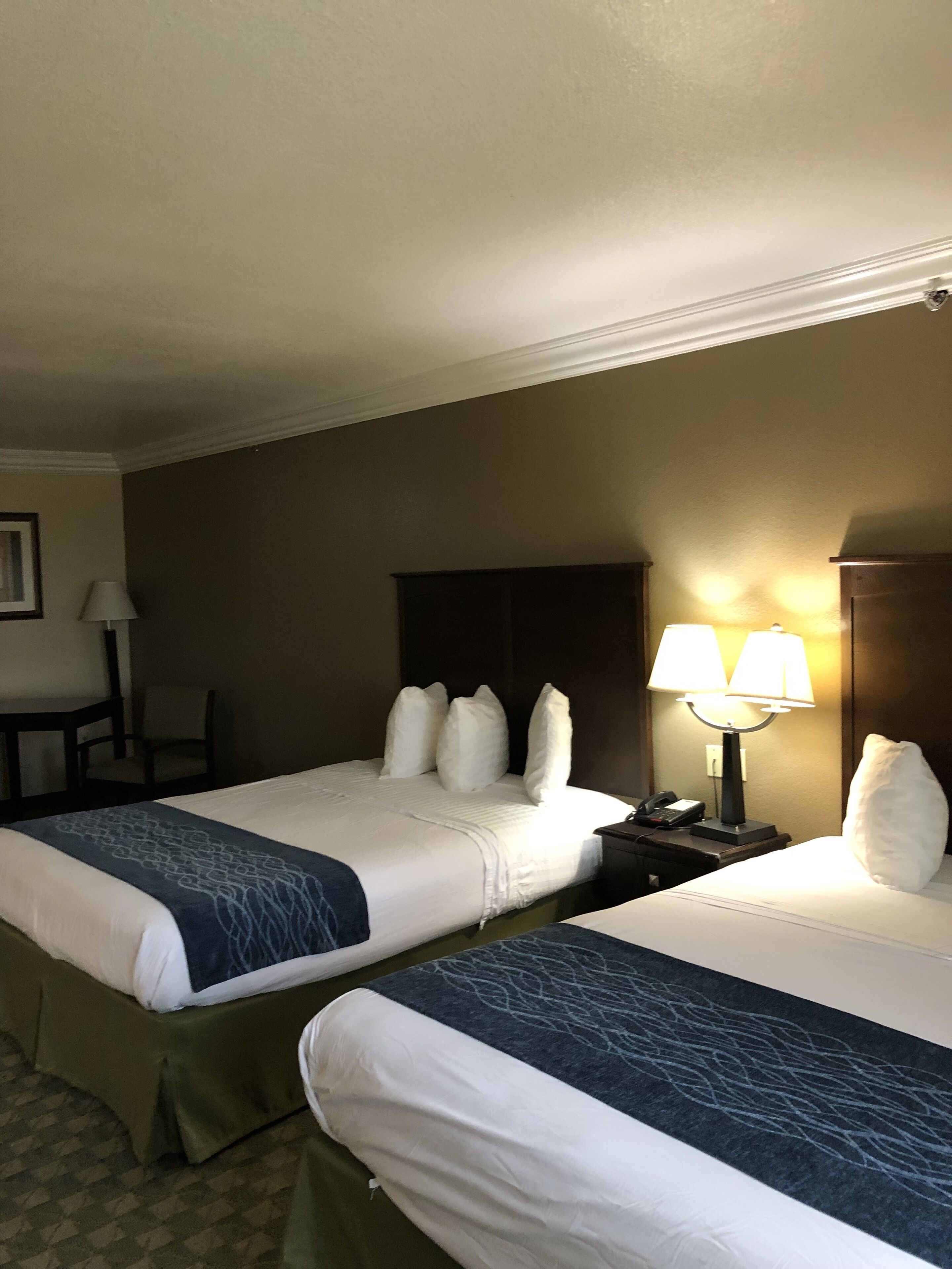 basic double room | in-room safe, desk, laptop workspace, blackout curtains