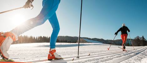 A snowy landscape with two skiers.