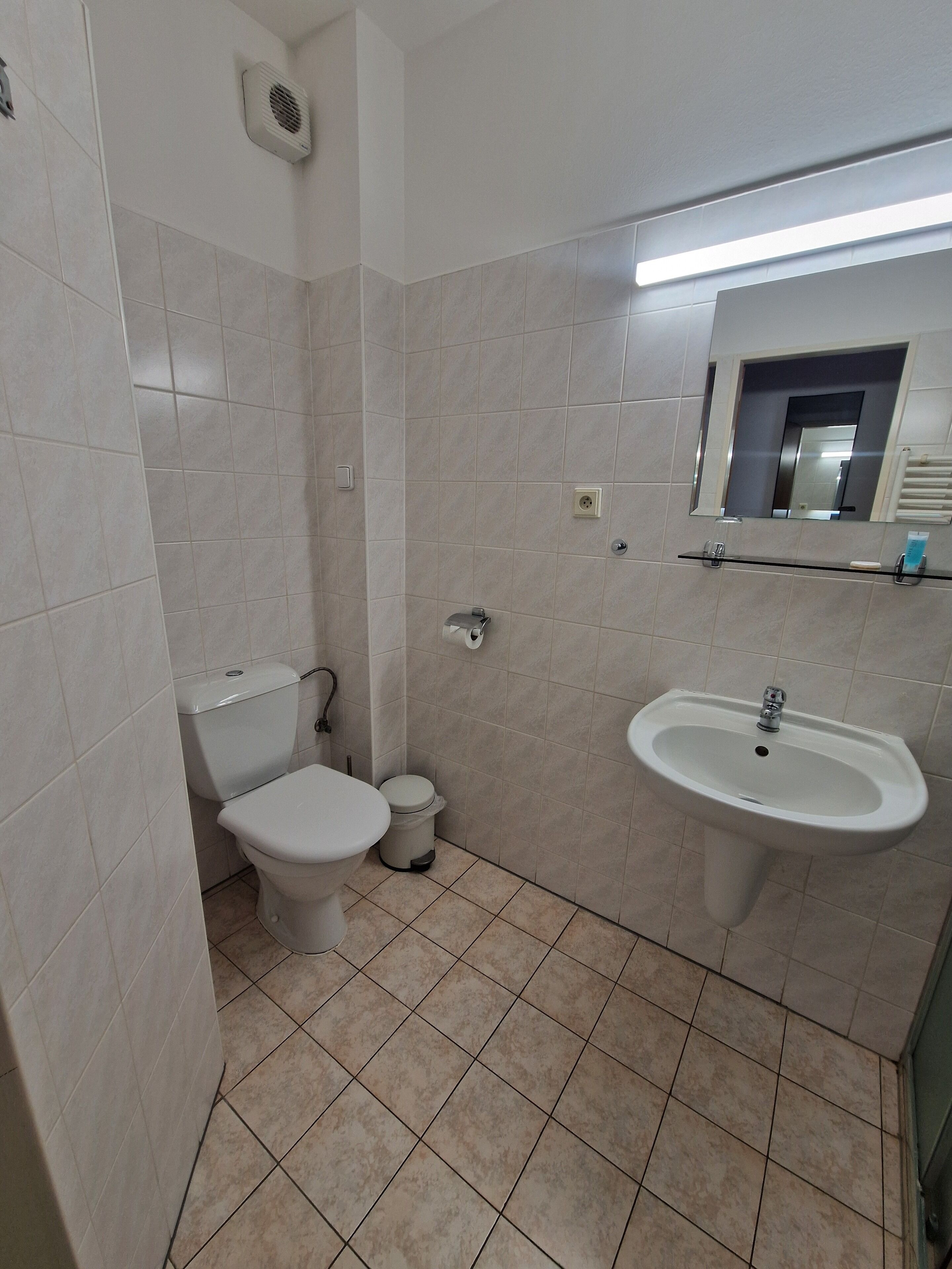 A bathroom with a toilet, sink, and mirror.