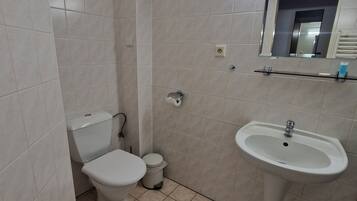 A bathroom with a toilet, sink, and mirror.