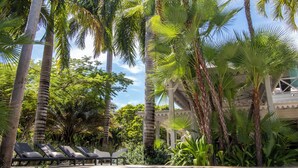 A poolside area with lounge chairs and palm trees.