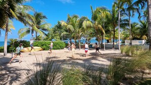 Ein Beachvolleyballspiel mit Palmen und blauem Himmel.