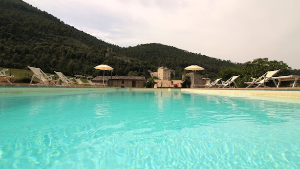 A swimming pool with clear blue water, surrounded by lounge chairs and umbrellas, set against a backdrop of a forested hill. - Agriturismo Il Casalino (Spoleto)