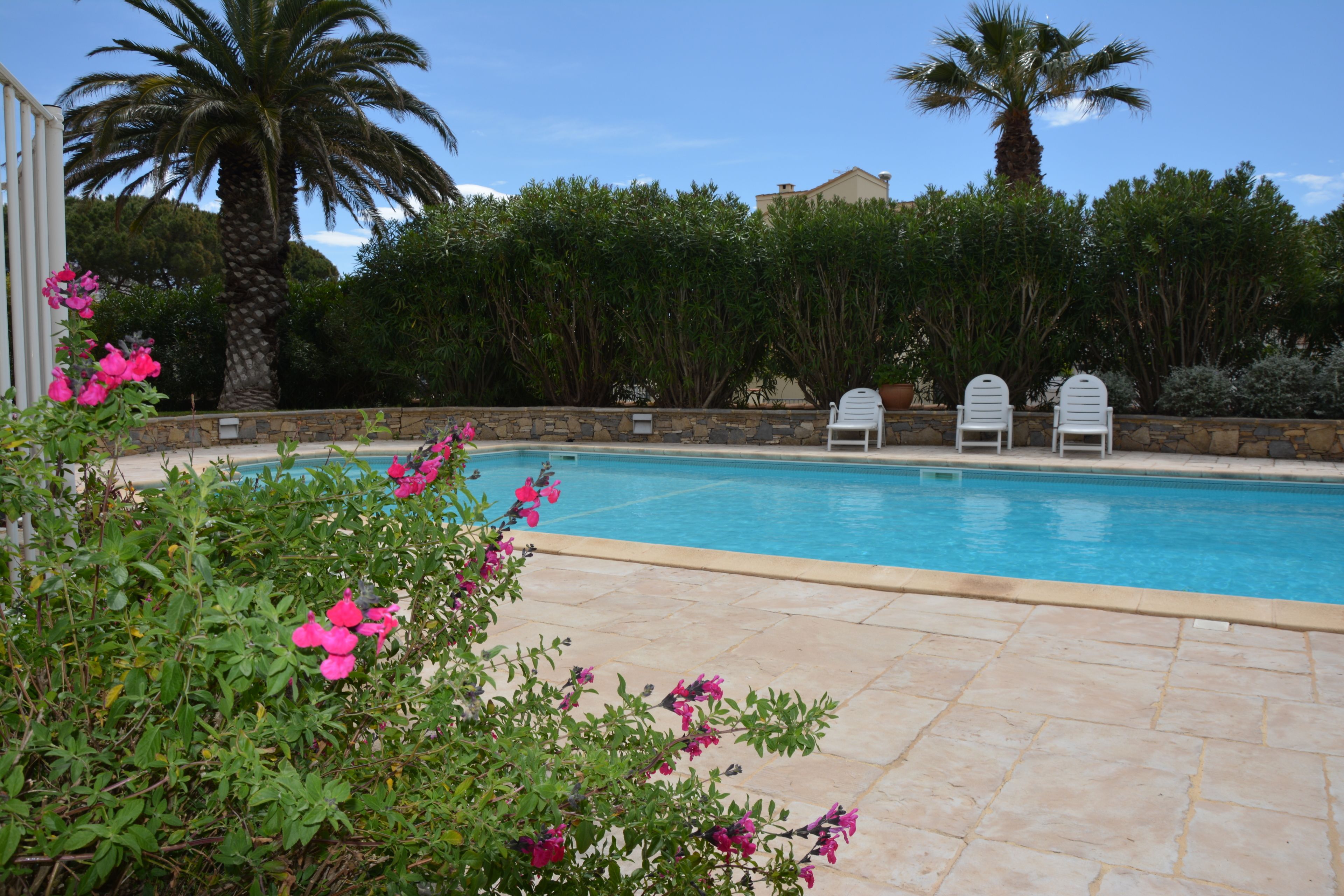 outdoor pool, pool loungers