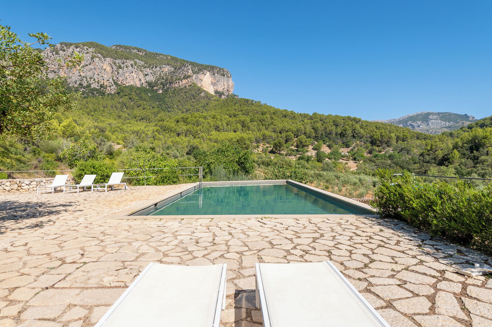Piscine extérieure, chaises longues