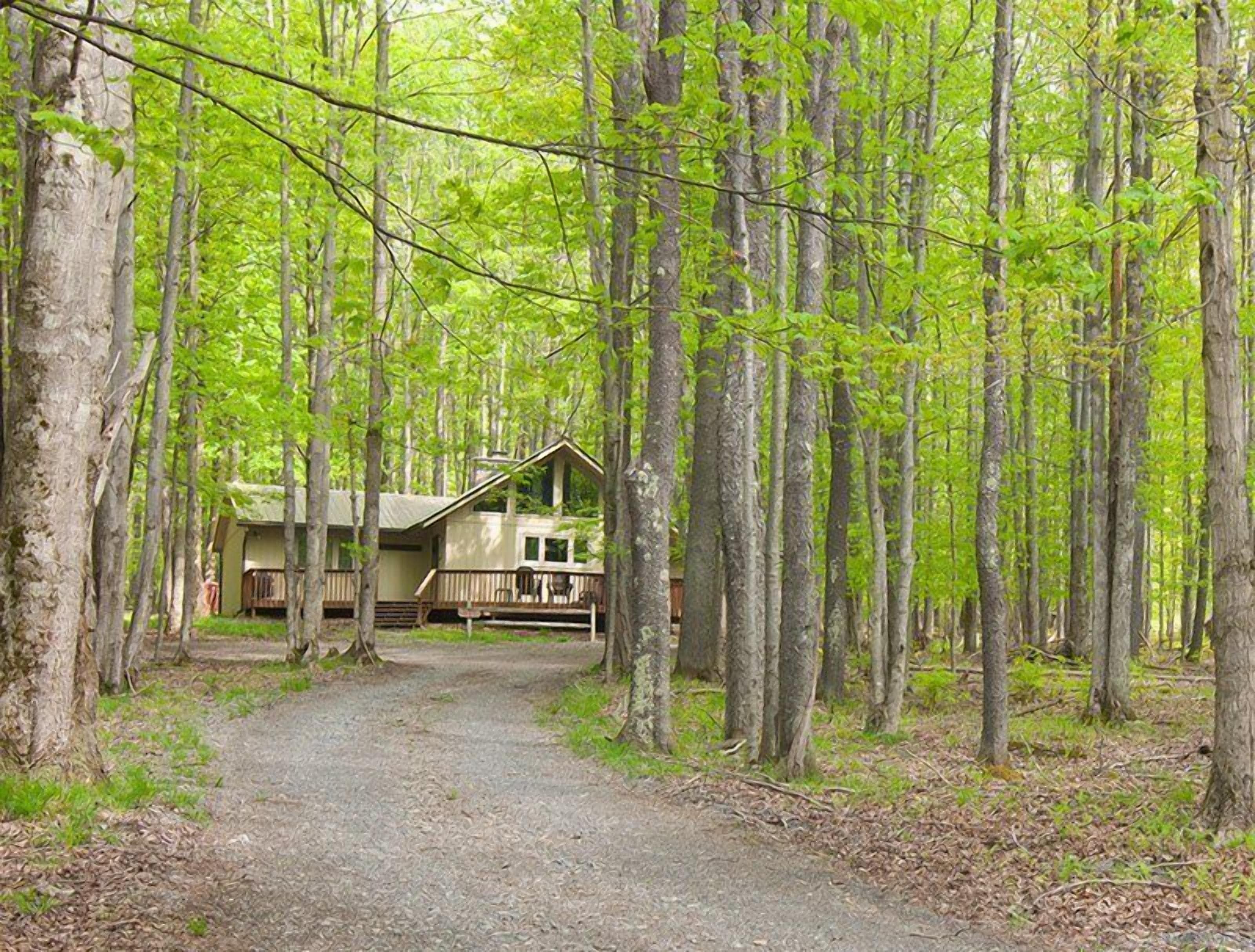 House | Property grounds