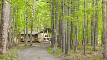 House | Property grounds