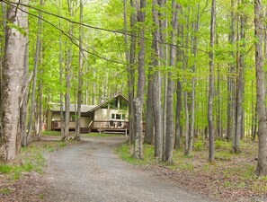 Huis | Terrein van de accommodatie