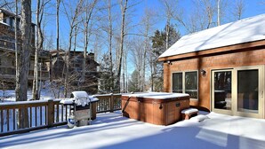 House | Spa - Schussboomer`s Retreat (Davis)