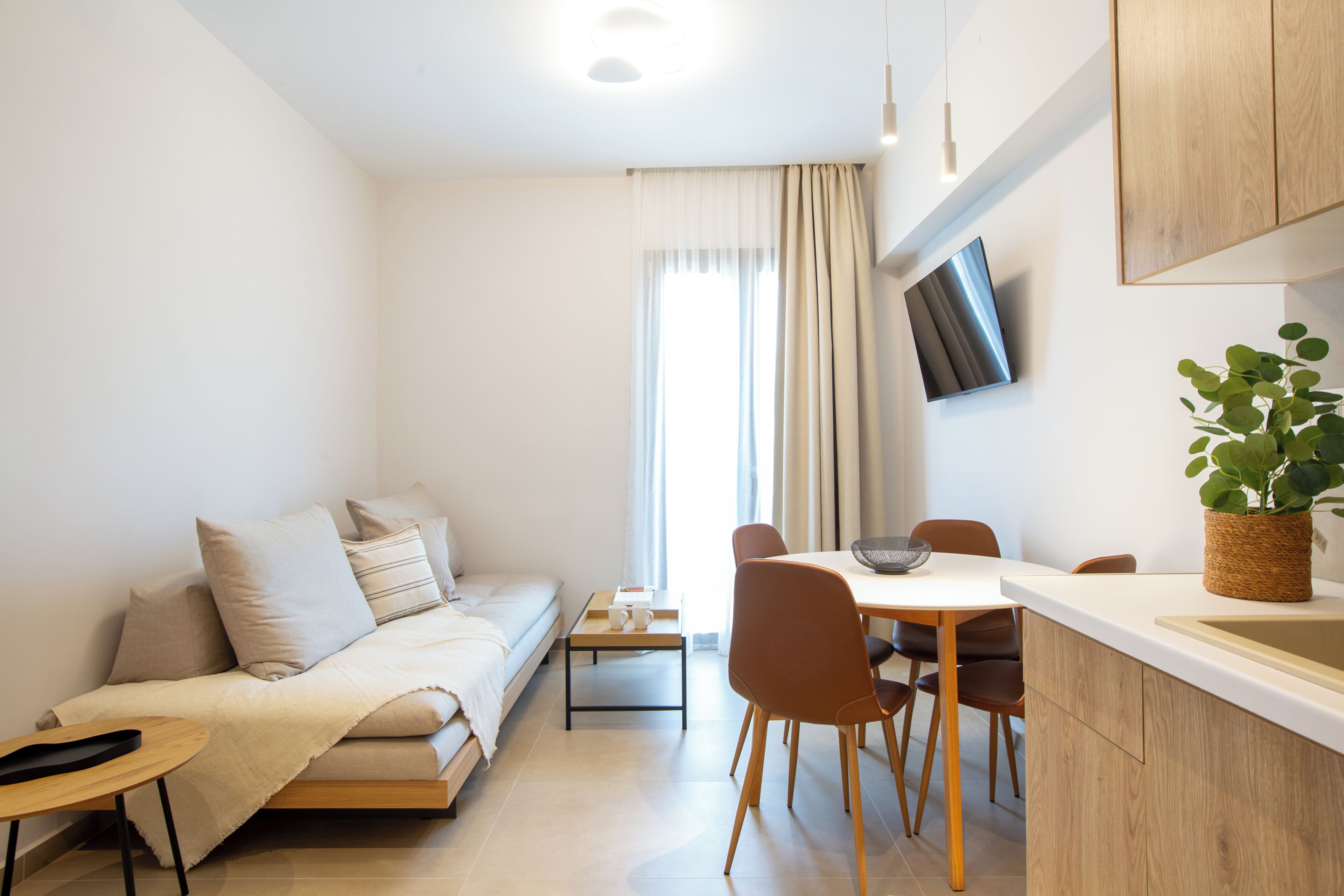 A compact living space with a sofa, a dining table, chairs, a TV mounted on the wall, and a potted plant.