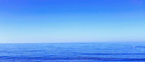 Vlak bij het strand, strandlakens, 8 strandbars