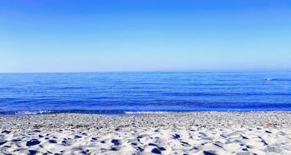 Calmare