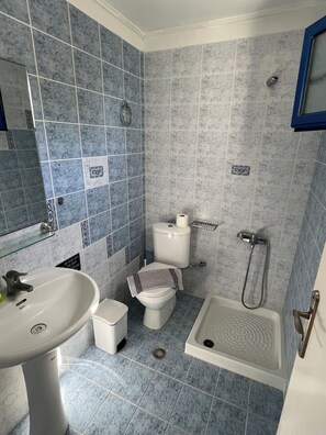 Standard Double or Twin Room | Bathroom | Shower, hair dryer, towels, shampoo