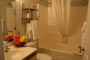 Standard Suite | Bathroom