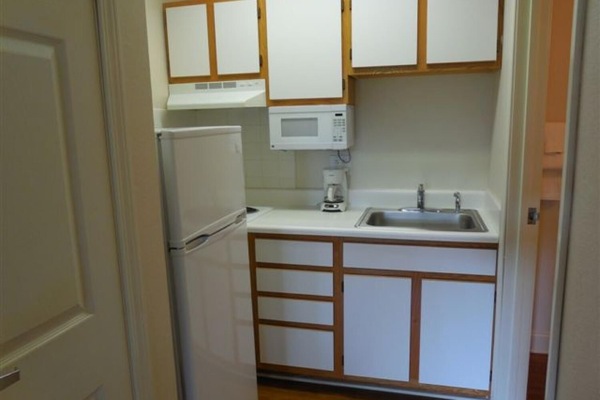 Full-sized fridge, stovetop