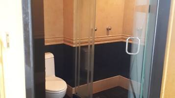 Une cabine de douche fermée par des parois en verre, avec des toilettes blanches et un sol foncé.