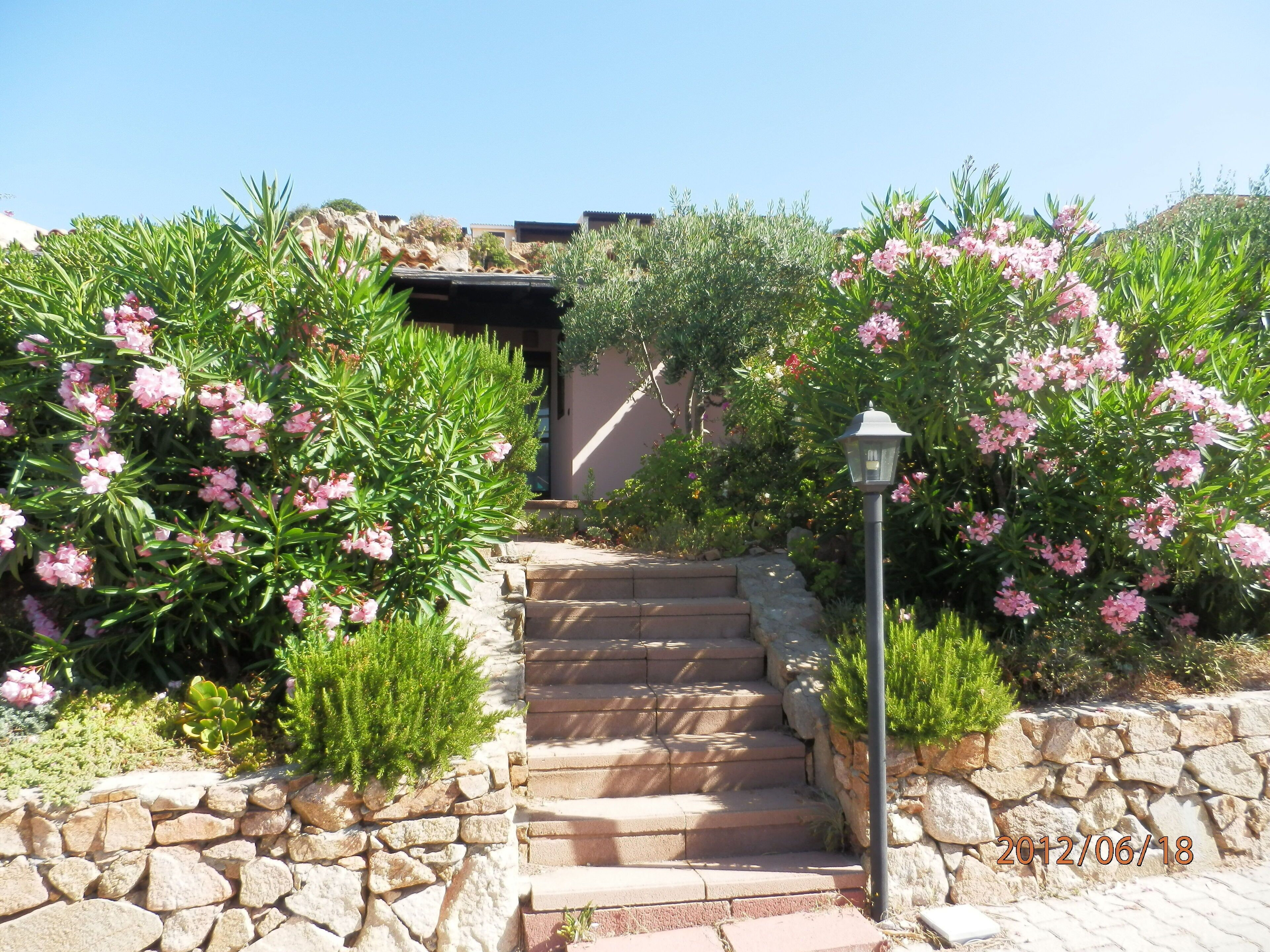 Eine steinerne Treppe führt zu einem Gebäude, umgeben von üppigem Grün und rosa Blumen.