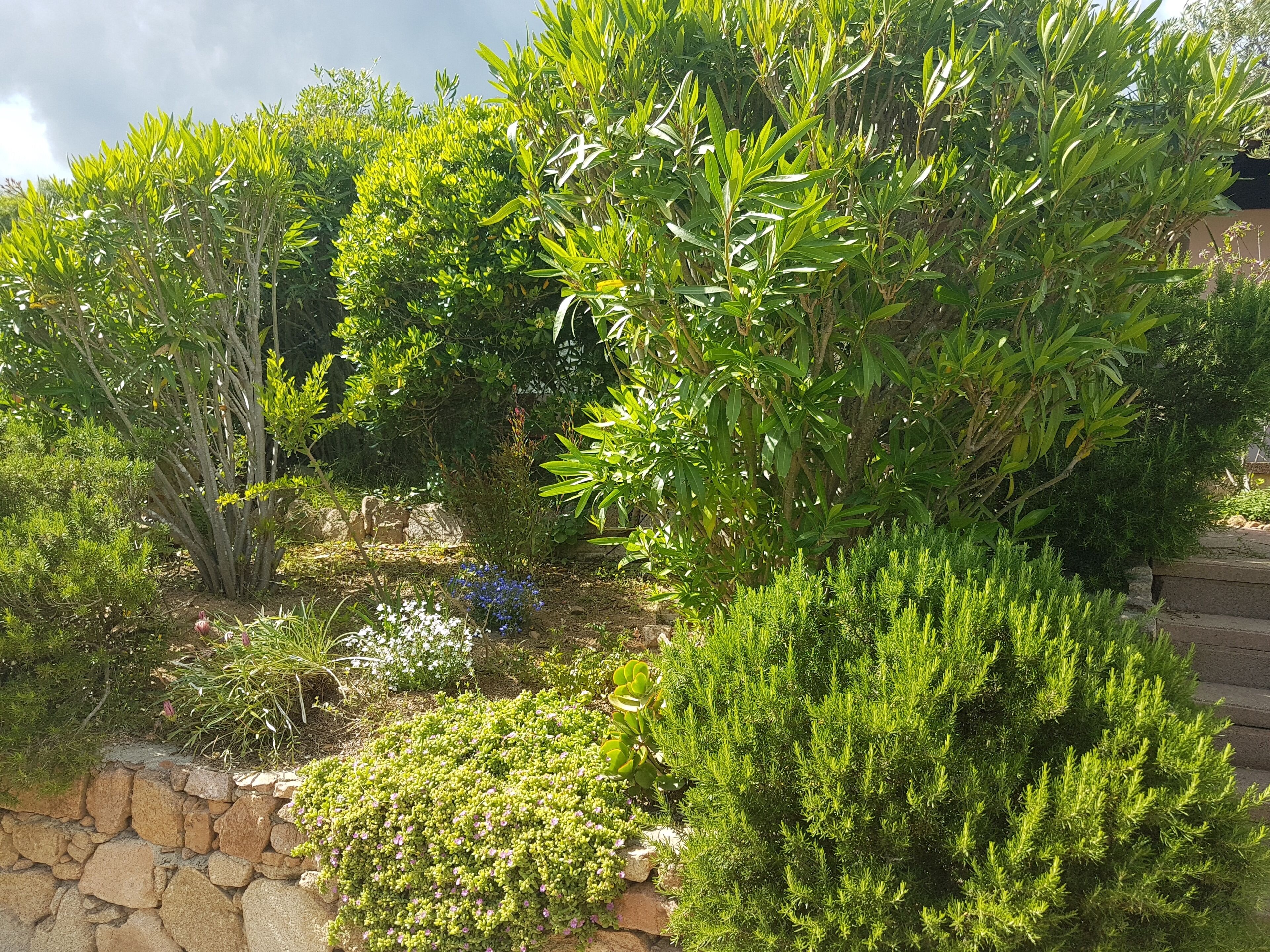 Parco della struttura