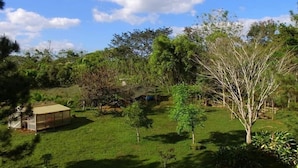 A spacious outdoor area with a large open lawn, a wooden pergola, and a variety of trees and shrubs. - Ecofinca Luna del Puente (Santa Cruz de Yojoa)