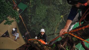 A person rappelling down a tree, with a hammock and ropes visible.
