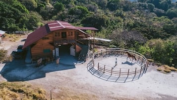 Actividades para niños
