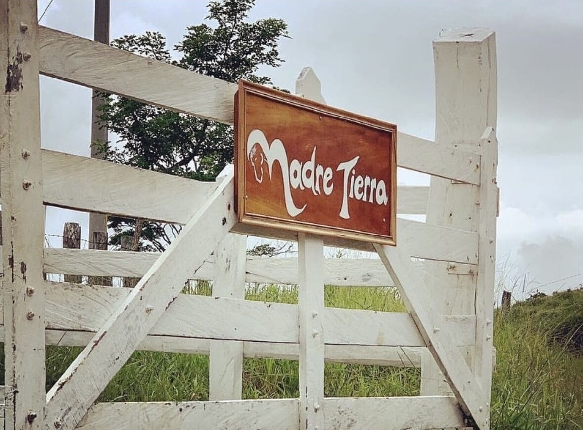 children’s activities