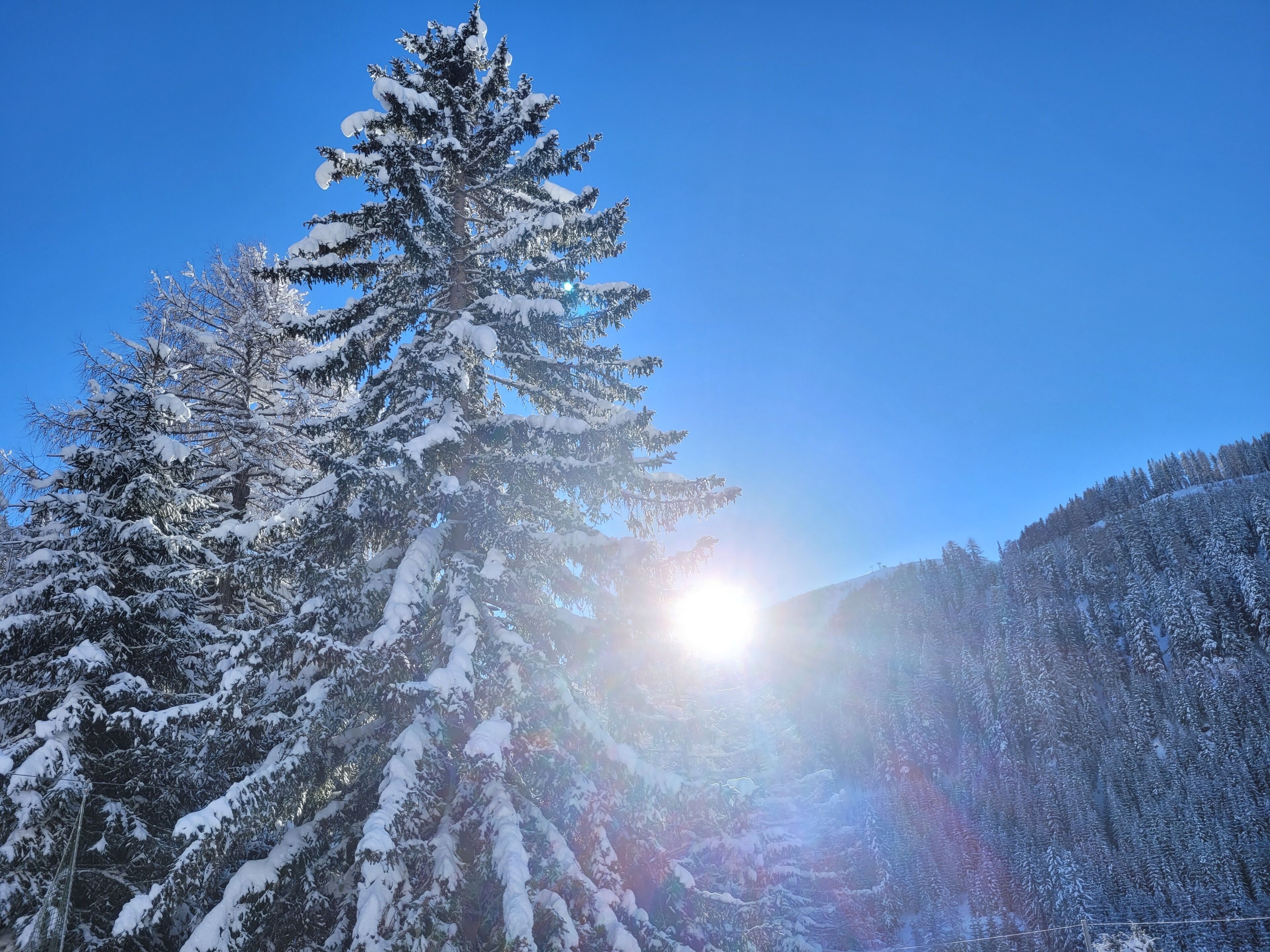 A snow-covered mountain with a clear sky and sunlight.