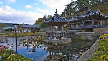 Traditional House, 3 Bedrooms, Lake View