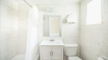 Combined shower/tub, soap, shampoo, toilet paper