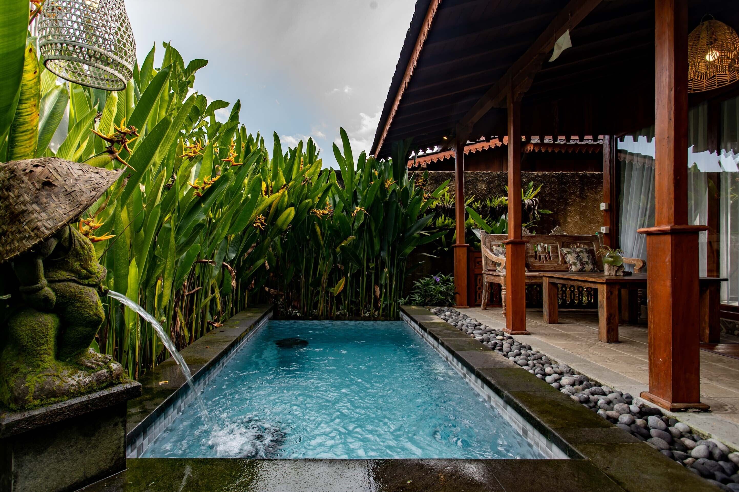 Vila Premier, 1 kamar tidur, kolam renang pribadi (One Bedroom with Private Pool) | Kolam renang pribadi