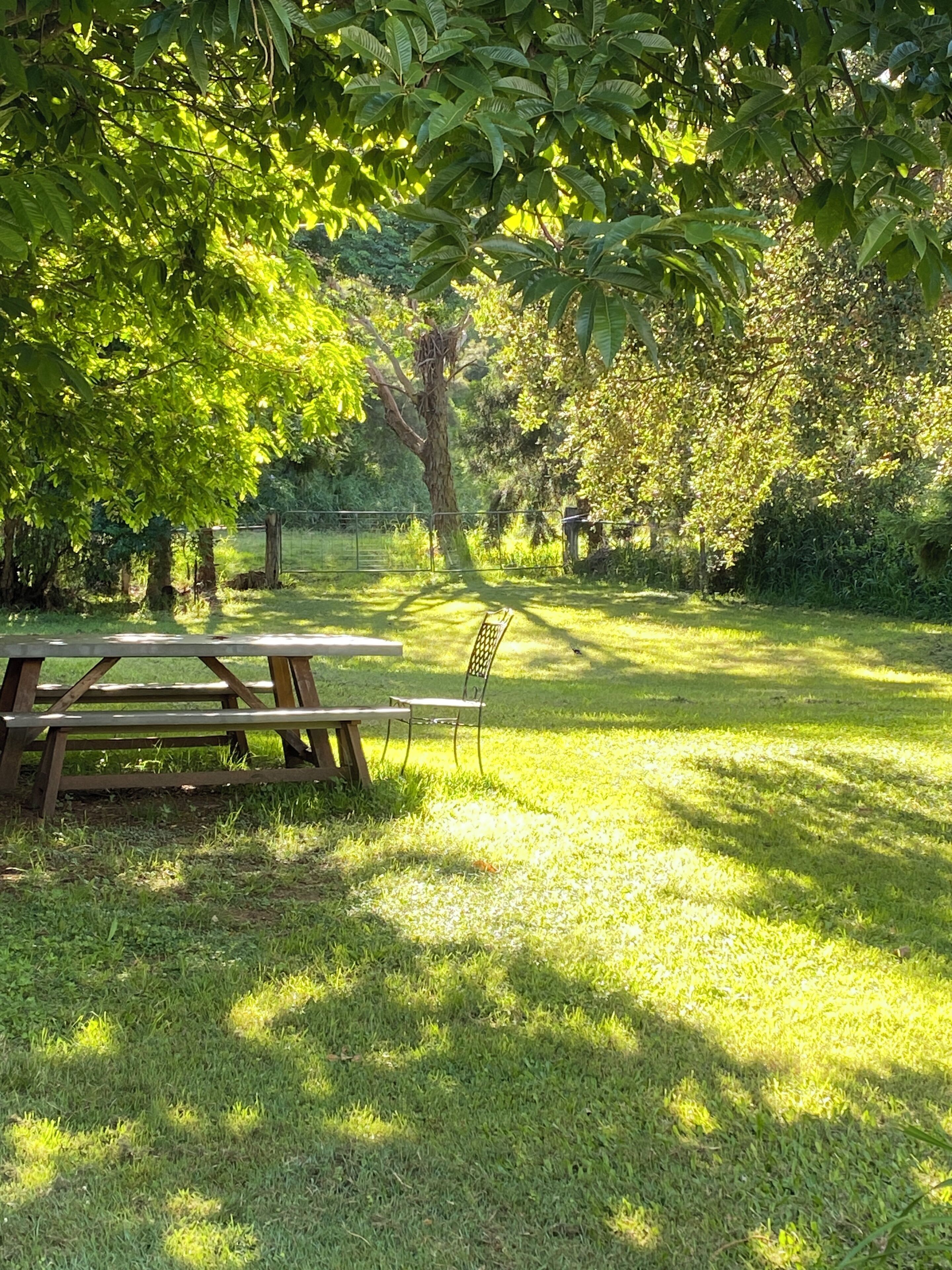 Una mesa de picnic y un banco en un parque con césped, árboles y una valla de fondo.