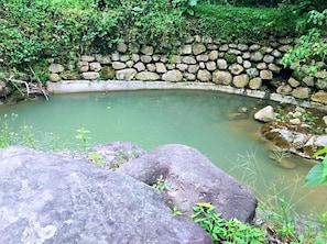 Basseng