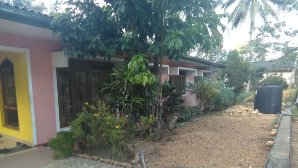 Edifici amb façana rosa, porta groga i zona pavimentada amb plantes i un petit jardí.